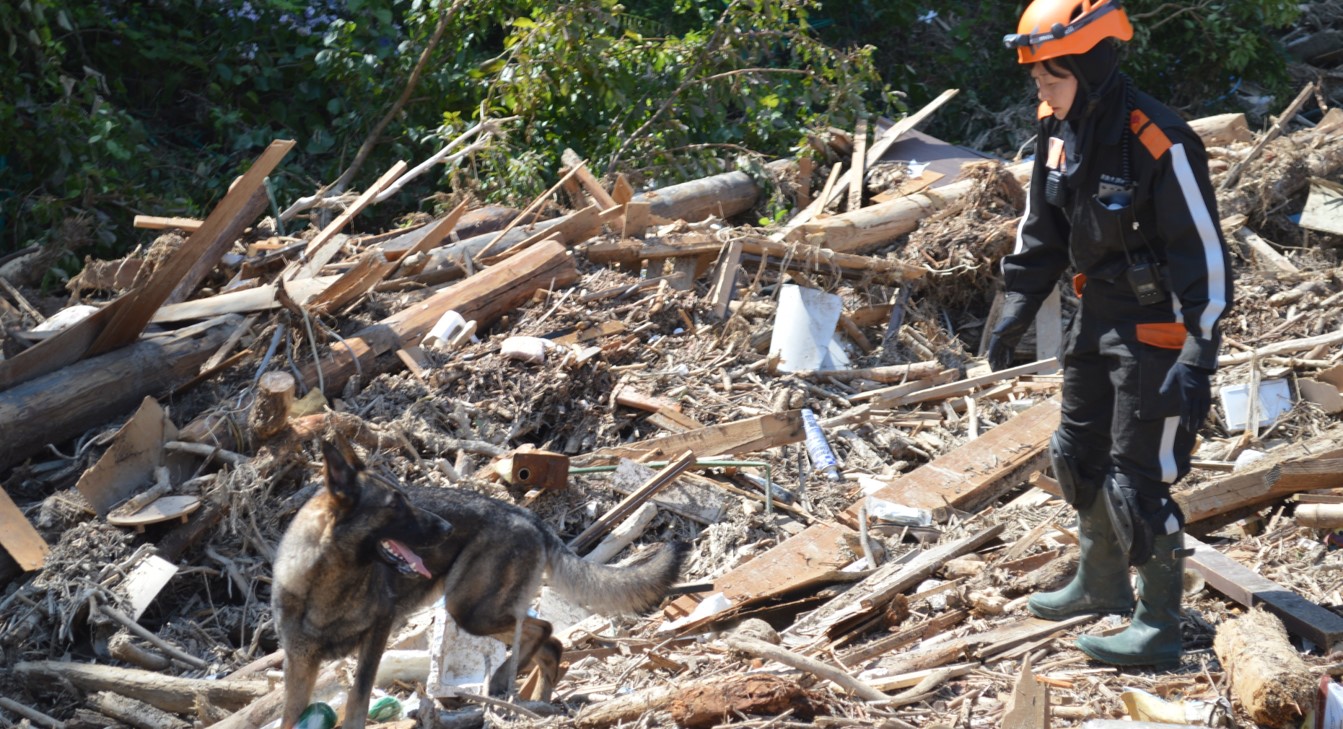 災害救助犬活動