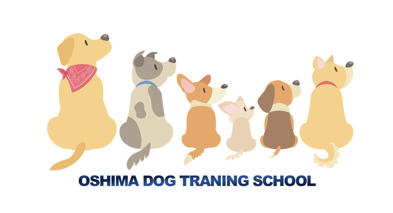 シェバードの仔犬 横浜市泉区ドッグスクール 大島ドッグトレーニングスクール シェバードの仔犬 横浜市泉区ドッグスクール 大島ドッグトレーニングスクール
