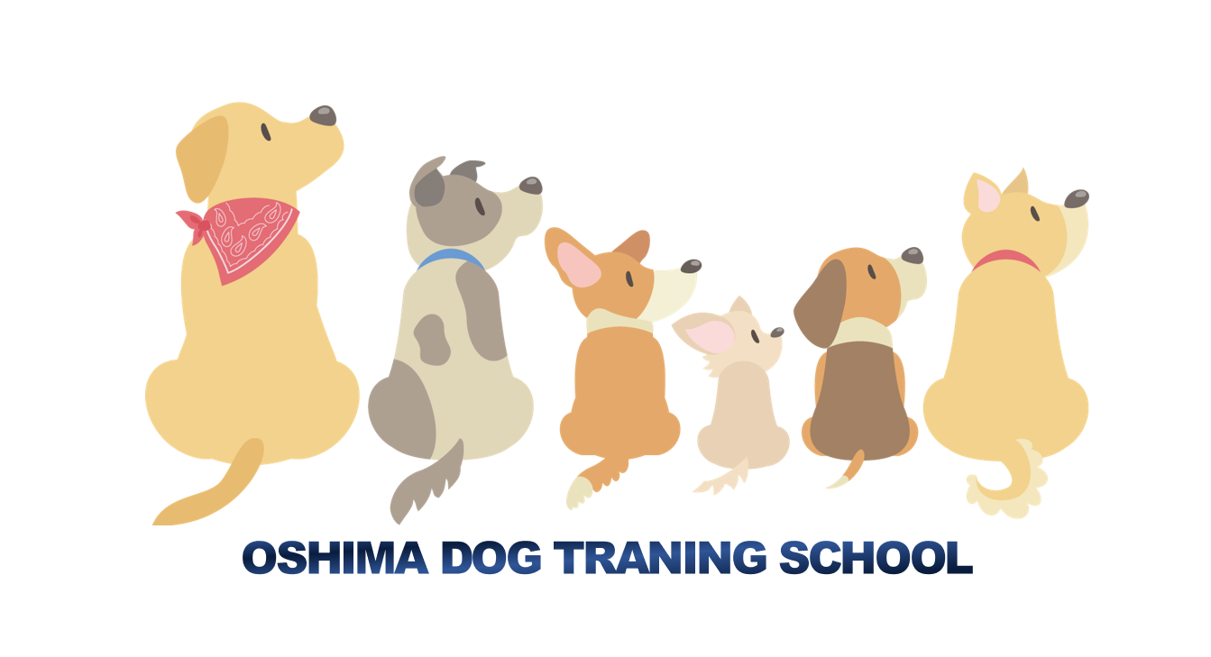 シェパード（オールブラック）の子犬 横浜市泉区ドッグスクール 大島ドッグトレーニングスクール